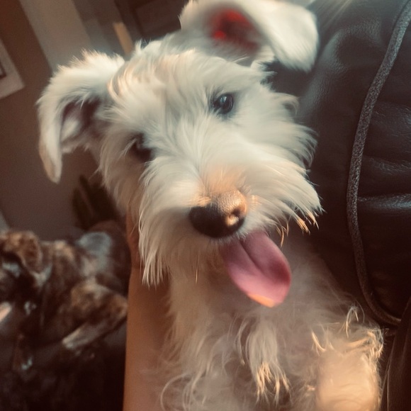 Meet your Posher, Andrea - Picture 14 of 16